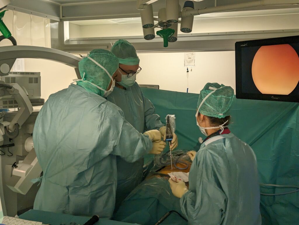 Dr Sebastien Levy, chirurgie endoscopique 